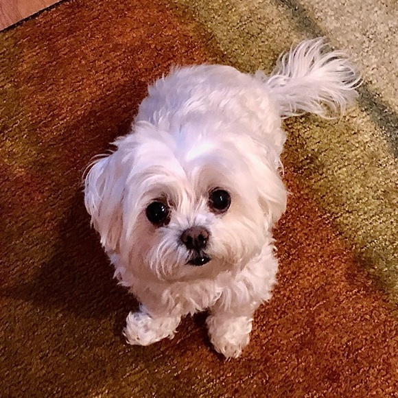 Meet your Posher, James - Picture 1 of 1